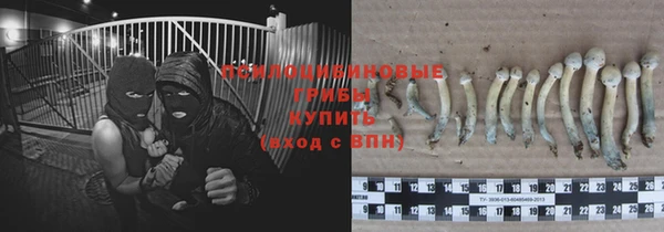 прущие крисы Новодвинск