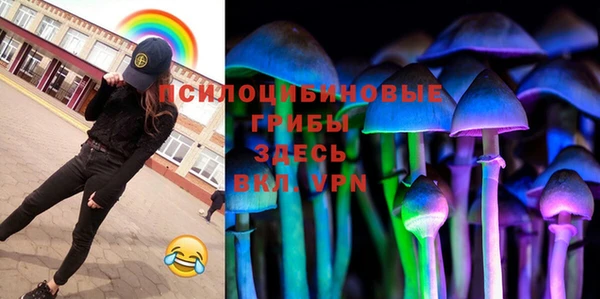 прущие крисы Новодвинск