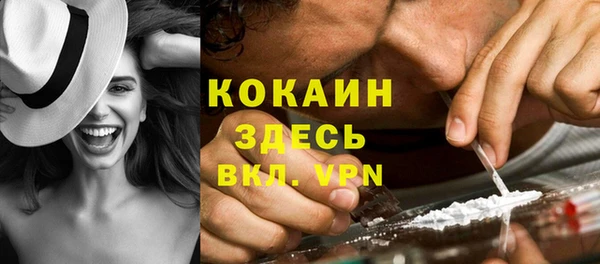 прущие крисы Новодвинск