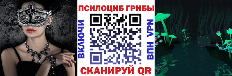 Псилоцибиновые грибы мицелий  МЕГА   сайты даркнета наркотические препараты  Киселёвск 